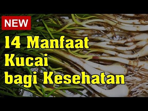 Video: Adakah kucai baik untuk anda?