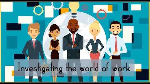 Action 11. Module 5. Investigating the world of work