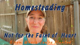 Hard part to Homesteading
