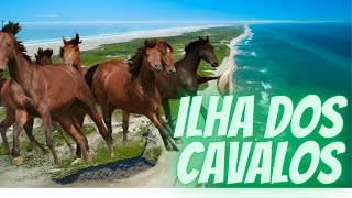 SABLE ISLAND: a ilha deserta que ficou infestada de cavalos