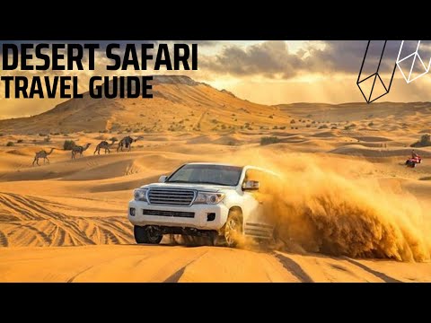 Dubai Desert Safari For Beginners – Travel Guide