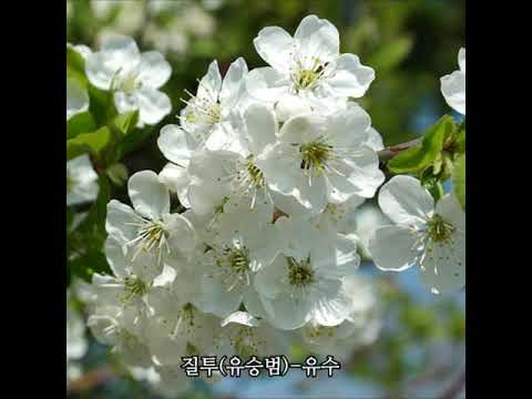 질투(유승범)-유수