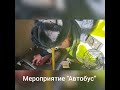 Подведены итоги мероприятия &quot;Автобус&quot;