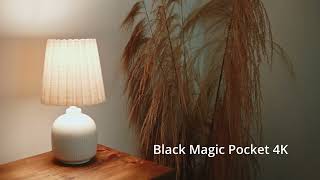 Black Magic Pocket 4K vs Canon EOS R6 MK I Leica 35 Summicron F2.0