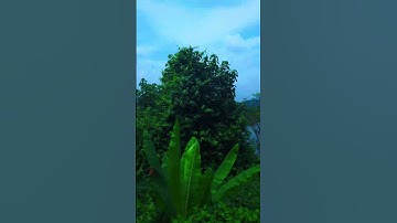 Konkan Railway #travel #indianrailways #train #railway
