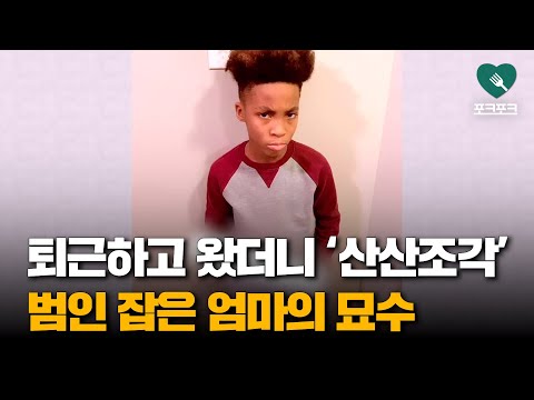 집에 오니 &amp;#39;산산조각&amp;#39; 난 <strong>꽃병</strong>···범인 찾은 엄마의 &amp;#39;한 마디&amp;#39;