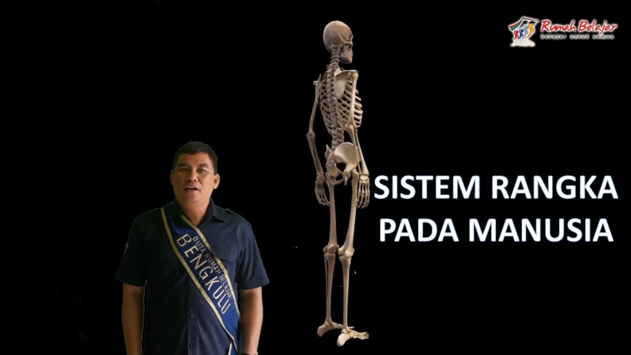 Sistem Rangka Youtube