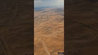 The Coconut Tree And The Animals That No One Helped