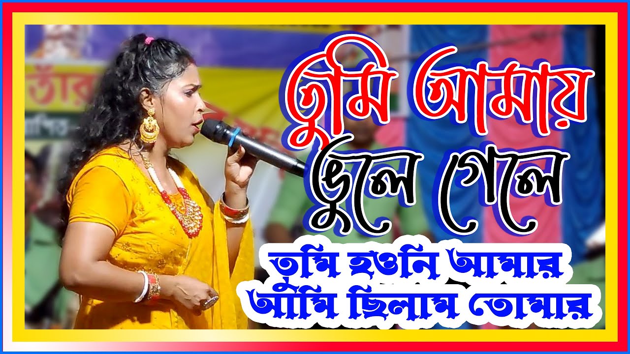 তুমি আমায় ভুলে গেলে || তুমি হওনি আমার আমি ছিলাম তোমার || Tumi Amay Vule Gele ||