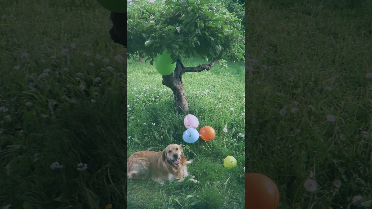 Zapowiedź: "Miło, lekko i przyjemnie" 