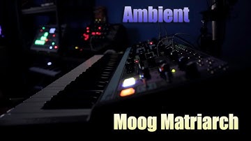 Moog Matriarch Ambient