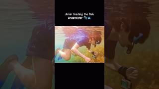 Jimin Was So Happy When The Fish Ate The Feed From His Hands🥹✨🐟🫧💜