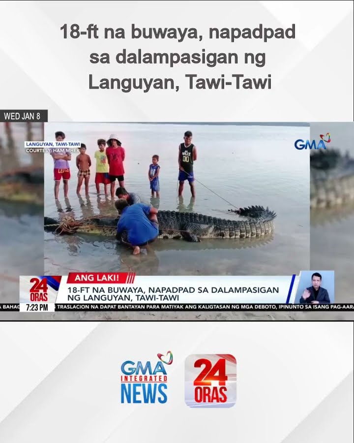 18-ft na buwaya, napadpad sa dalampasigan ng Languyan, Tawi-Tawi | 24 Oras