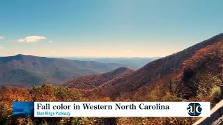 Fall color along the Blue Ridge Parkway