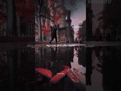 بیبی بیبی بارونه موزیک ادیت  