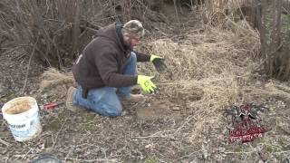 DUKE TRAPS/Bonebrothers Trapping Coyote Trap Tutorial