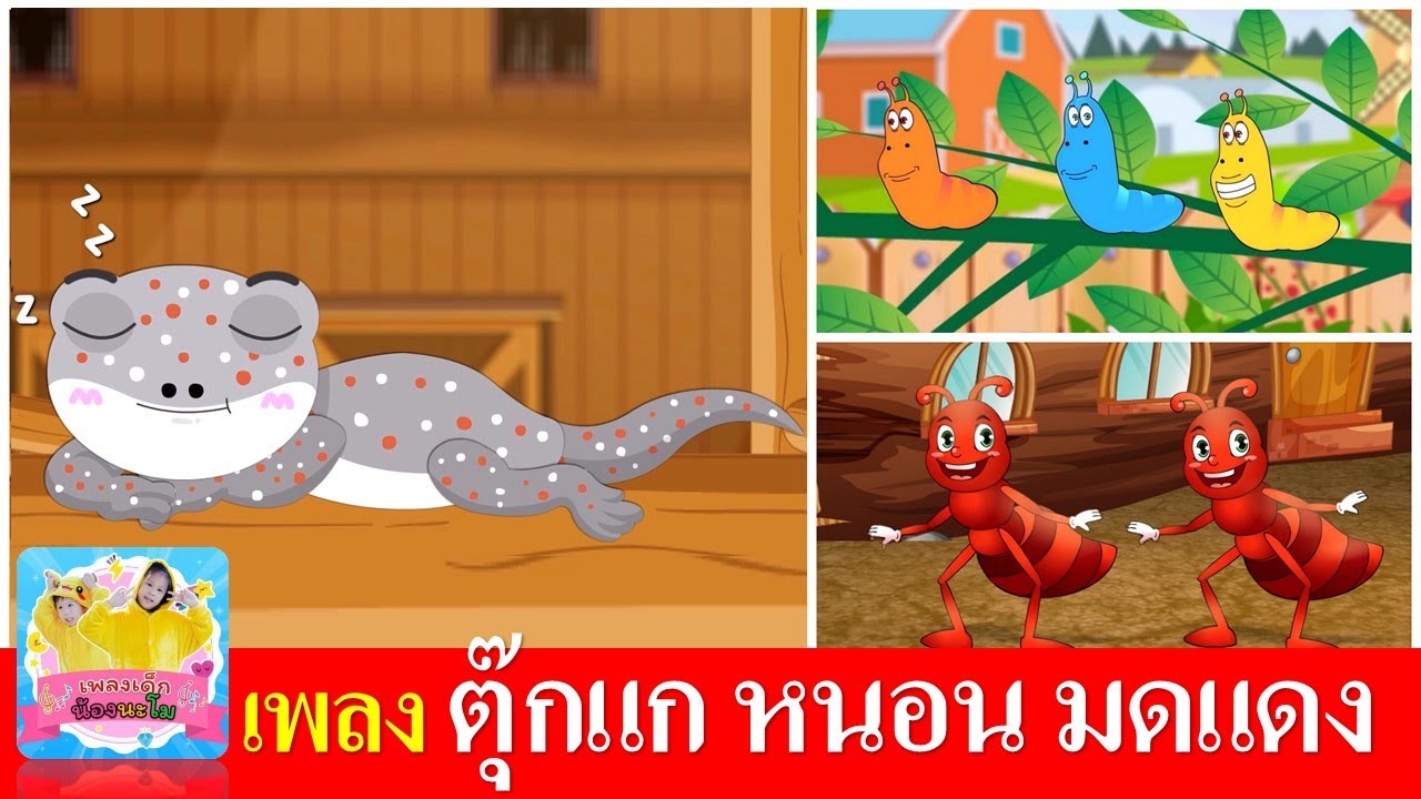 เพลงเด็กอนุบาล ตุ๊กแก หนอน มดแดง | ตุ๊กแก | หนอนผีเสื้อ | มดแดงเกาะแข้งเกาะขา