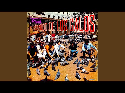 Los Galos — Que quieres tú de mi