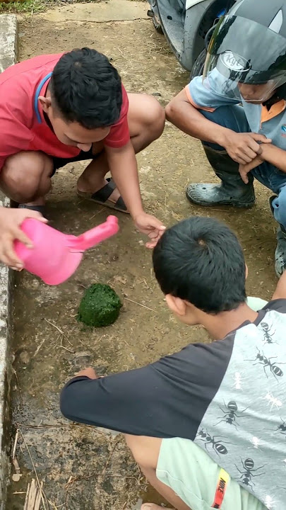 PURA PURA MUKBANG KOTORAN SAPI #shorts #lucu #fyp #art #trending