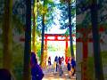 #箱根神社 #HakoneShrine #箱根 #芦ノ湖 #鳥居 #富士山 #神社巡り #日本旅行 #箱根観光 #絶景スポット #神奈川旅 #和の風景 #寫真好きな人と繋がりたい #旅行記錄