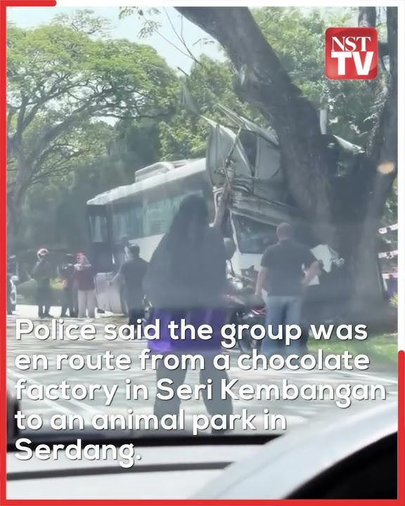 Bus carrying preschoolers crashes into tree, 4 injured