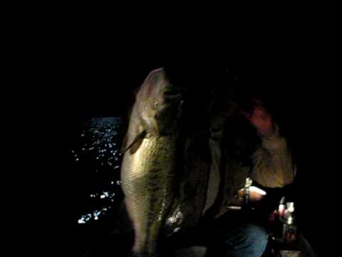Fall Bass on Wake-Baits - With In-Fisherman Contri...
