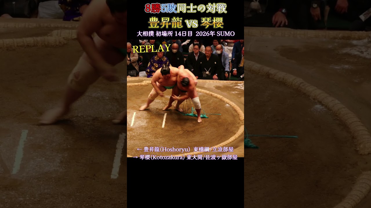 8勝5敗同士の対戦 豊昇龍 vs 琴櫻❗大相撲 初場所 14日目 2026年 Sumo
