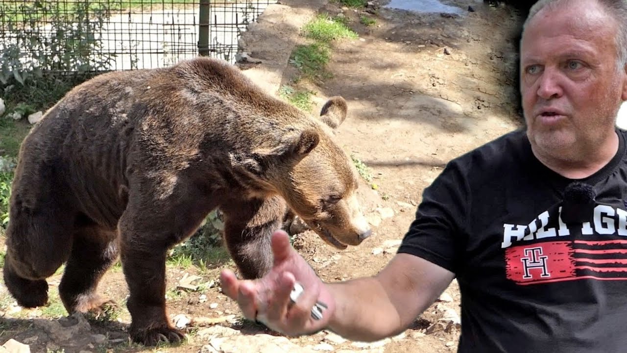 Čudo neviđeno na Vlašiću, medo jede iz ruke i raspoznaje kvalitet obroka