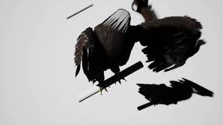 Unreal Bald eagle ver1.0