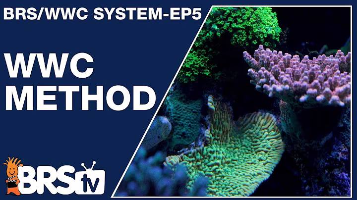 Ep5: Ryan's take on the WWC method - The BRS/WWC System