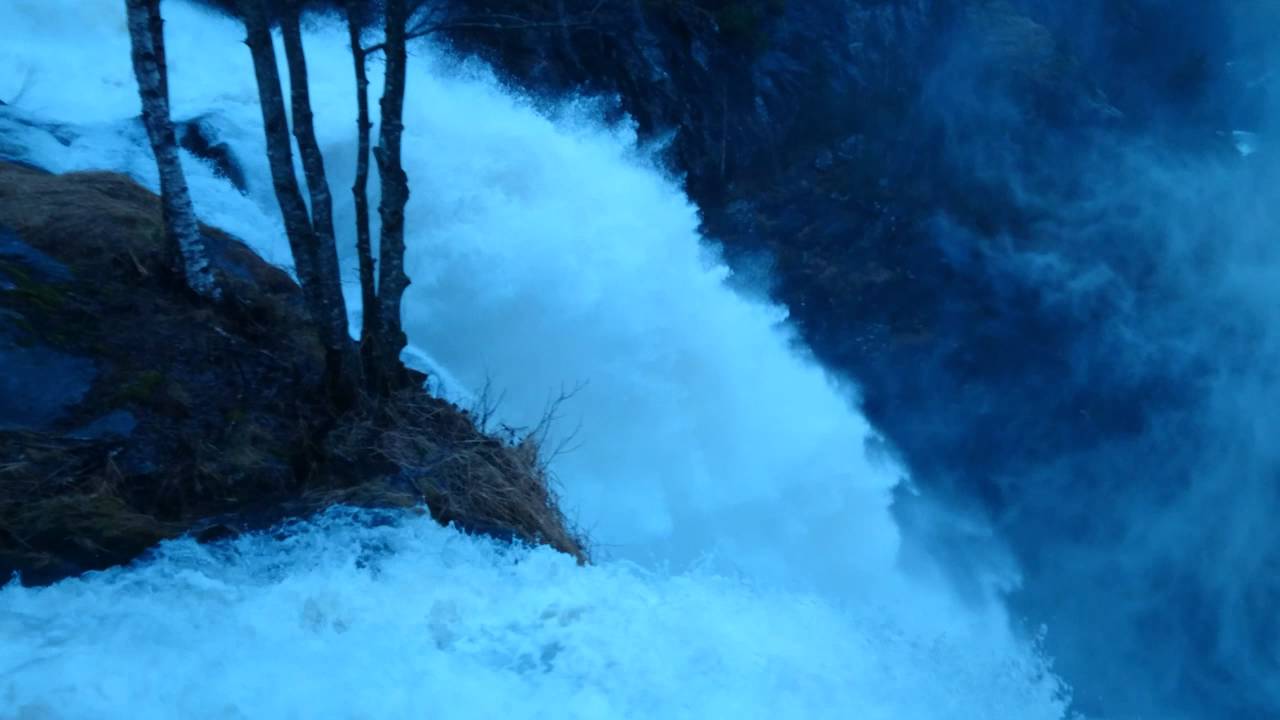 Skjervet Naturvandring 20.des 2015