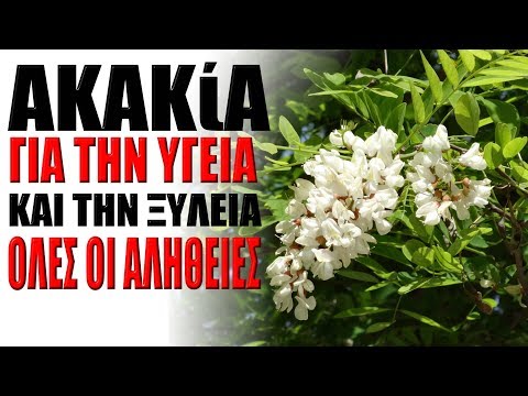 Βίντεο: Ακακία