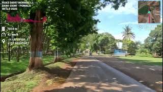 56007 N 281025 DAWI DAWI   POMALA L1