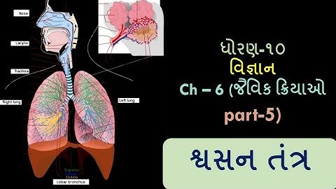 શ્વસનતંત્ર (જૈવિક ક્રિયાઓ (part-5) II Std-10 II science ll ch-6 respiratory system