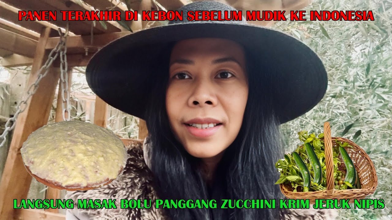 PANEN SAYURAN SEBELUM PULKAM LANGSUNG DIMASAK BOLU ZUCCHINI KRIM MENTEGA JERUK NIPIS