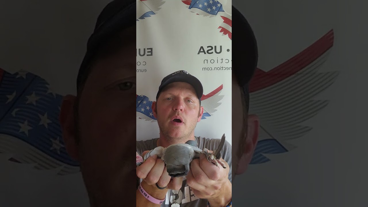 Lot #20 GS24-164 from Ken Christopher