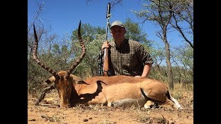 Jagd auf Impala in Südafrika / hunting impala in south africa with mahathi pursuit - Junge Jagd