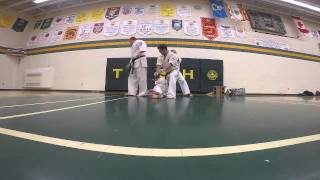 Shinkyokushin - Baseball Bat Break - Sensei Keith Tanton