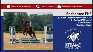 Enchantee FHF ** Schooling 2ft Jumper Round