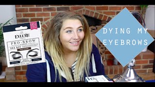 Dying My Eyebrows with Eylure Pro Brow Dybrow | Elle Cooper