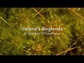 Ireland&#39;s Boglands | A Hidden Wilderness