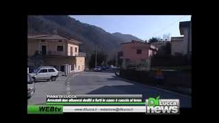 Arrestati due albanesi dediti a furti in case:è caccia al terzo - Dì News - 16 febbraio 2013 screenshot 4