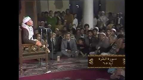 خواطر الشيخ الشعراوي سورة البقرة آية 65