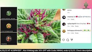 420 grow show .