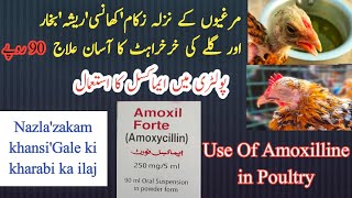 Use For Amoxilline in Poultry | Poultry treatment screenshot 2