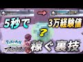 【ポケモンアルセウス】最強の経験値稼ぎの裏技。教えます。【徹底攻略】