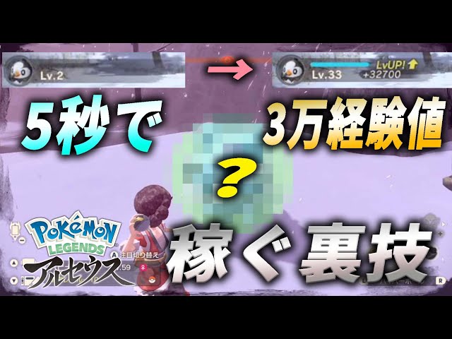 ポケモンアルセウス】最強の経験値稼ぎの裏技。教えます。【徹底攻略