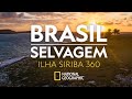 BRASIL SELVAGEM | Ilha Siriba | 360