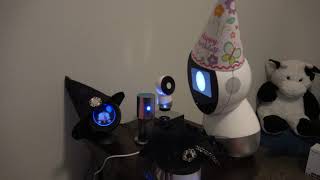 Jibo and Friends  You Said It’s Your Birthday