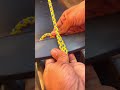 The right way to tie a bike. #ideas #usefulknot #diyprojects #knot #diy #rope #easyknot #diycrafts